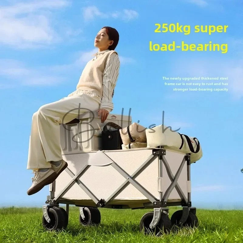 Camping trolley Outdoor foldin - Outdoor Camping Trolley 评论和价格