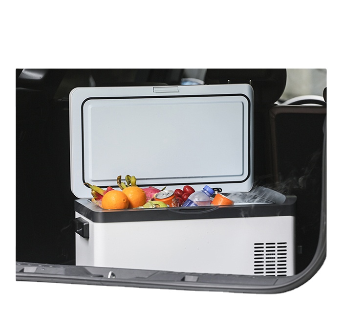 30 Liter 12V 240V Portable Cam - Outdoor In Camping 评论和价格