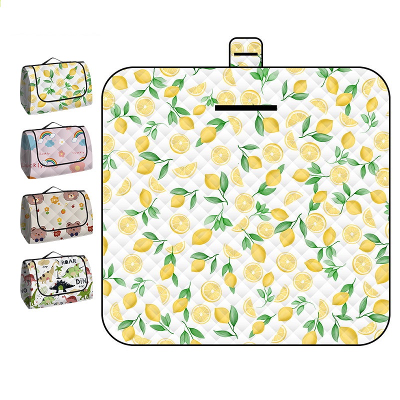 150*200CM Portable Picnic Mat  - Outdoor Camping Rug Waterproof 评论和价格