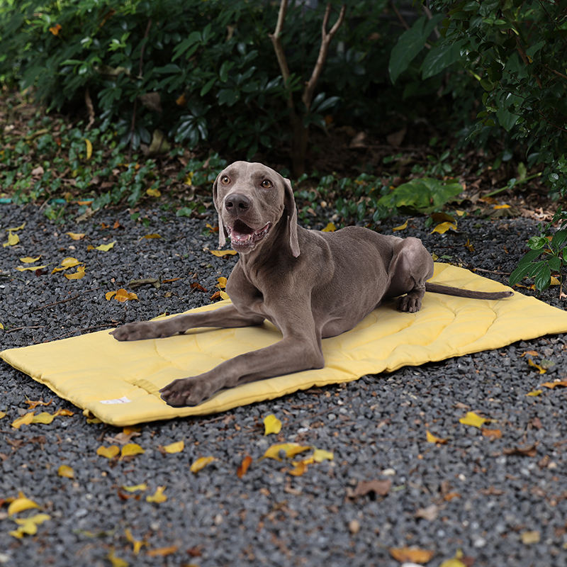 Portable Pet Mat Foldable Pet  - Outdoor Camping Rug Waterproof 评论和价格
