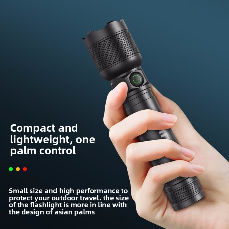 2025 NEW Philips SFL2188 LED A - Outdoor Camping Items 评论和价格
