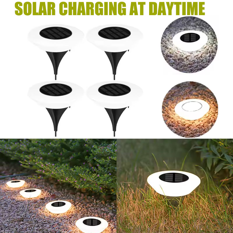 Solar Ground Lights 1/4Pack LE - Outdoor Camping Decke 评论和价格